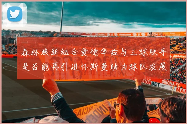 森林狼新组合爱德华兹与三球联手是否能再引进怀斯曼助力球队发展