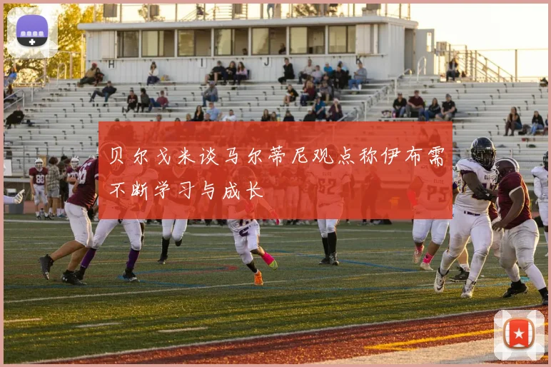 贝尔戈米谈马尔蒂尼观点称伊布需不断学习与成长