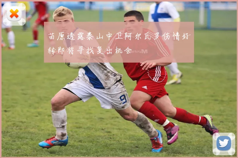 苗原透露泰山中卫阿尔瓦罗伤情好转即将寻找复出机会